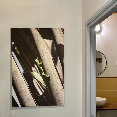 Ruime Caravan Met Prive Sanitair, Laadpaal En Vast Bed Kemping